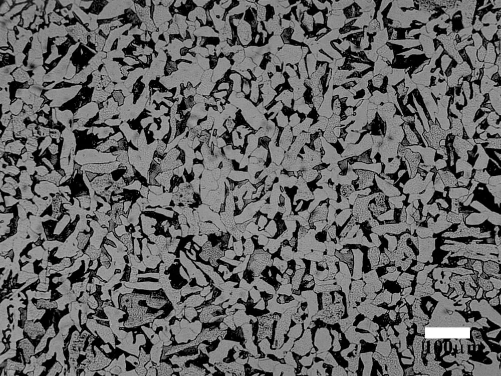 Micrografia óptica de aço carbono mostrando regiões claras de ferrita e regiões escuras de perlita.