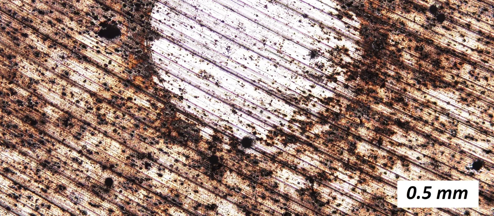 Micrografia de superfície de duralumínio atacada por corrosão após imersão em água salgada, com pites escuros e barra de escala de 0,5 mm.